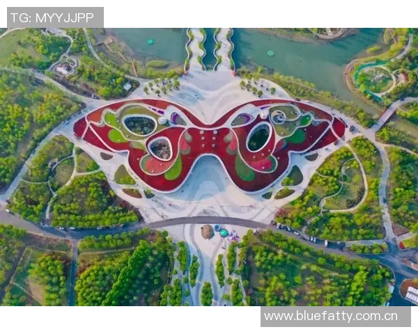 上海排球队在比赛中的控球策略与失误分析及其影响